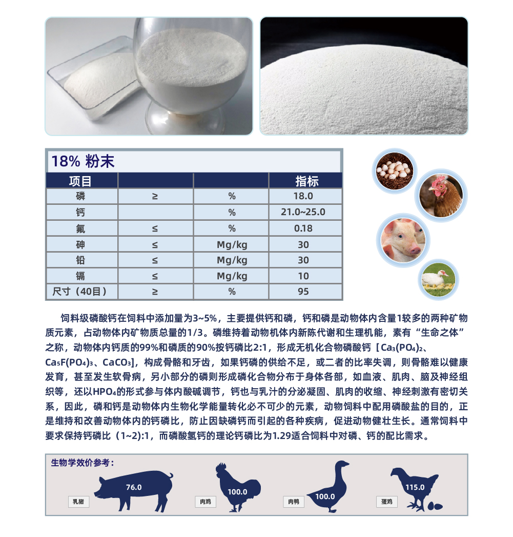 飼料級磷酸氫鈣_畫板 1 副本 2.jpg